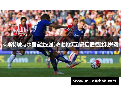 莱斯特城与水晶宫激战前瞻谁将笑到最后把握胜利关键