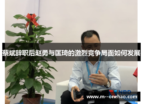 蔡斌辞职后赵勇与匡琦的激烈竞争局面如何发展 蔡斌辞职后赵勇与匡琦的激烈竞争局面如何发展