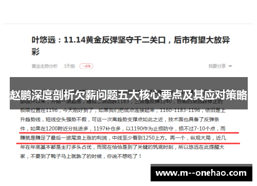 赵鹏深度剖析欠薪问题五大核心要点及其应对策略