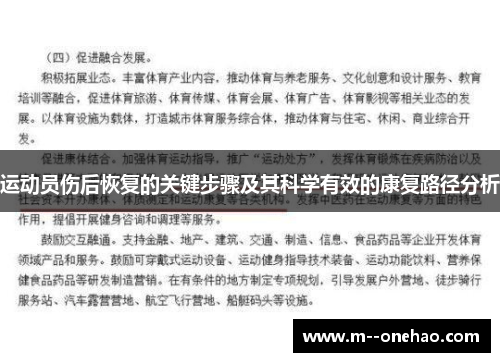 运动员伤后恢复的关键步骤及其科学有效的康复路径分析