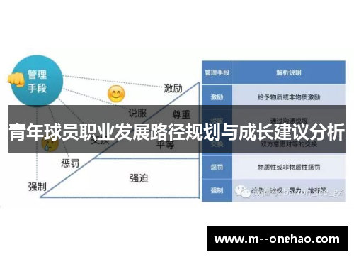 青年球员职业发展路径规划与成长建议分析