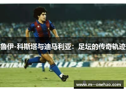 鲁伊-科斯塔与迪马利亚:足坛的传奇轨迹 鲁伊-科斯塔与迪马利亚:足坛的传奇轨迹