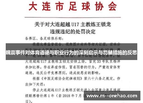 魏震事件对体育道德与职业行为的深刻启示与罚禁措施的反思