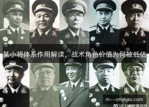 某小将体系作用解读，战术角色价值为何被低估